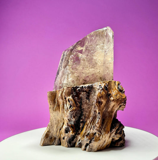 Silver Rutile Quartz with Garden and Custom Root Stand  Collectors Crystal