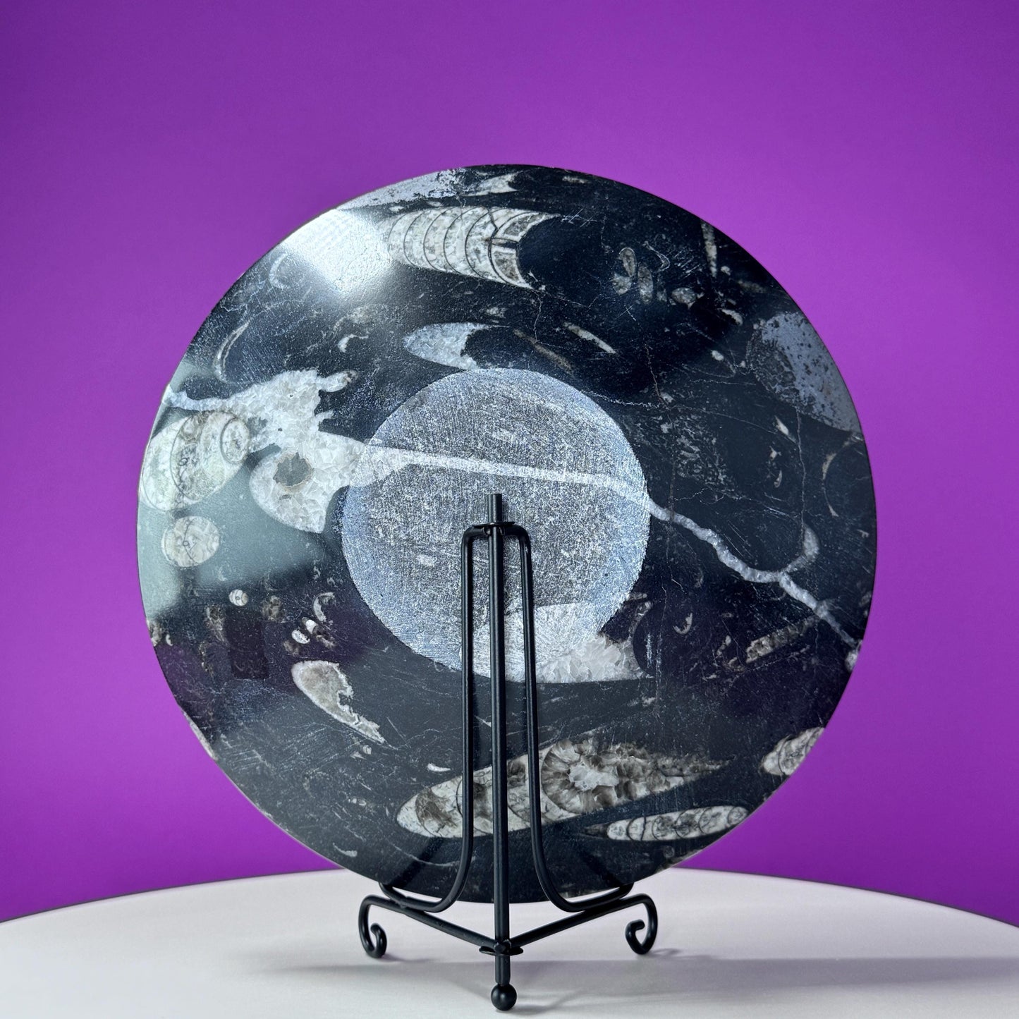 Orthoceras Fossil Bowl (Includes Black Metal Stand)