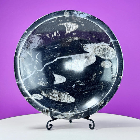 Orthoceras Fossil Bowl (Includes Black Metal Stand)