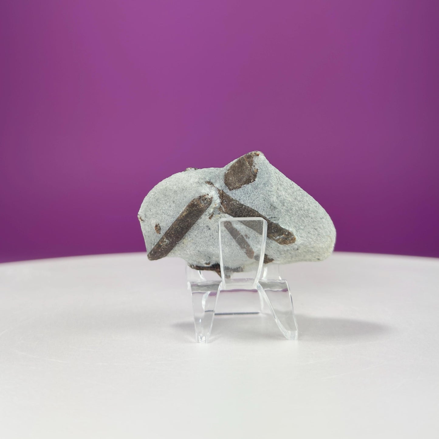 Staurolite Stone, Fairy Cross (Russia) (Includes Acrylic Stand)