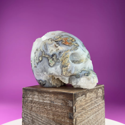 Moss Agate Skull with Druzy, 3+Pounds