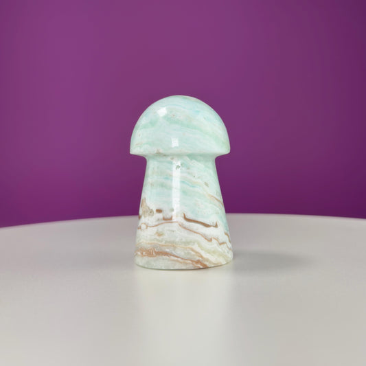 Caribbean Calcite Mushroom Carving