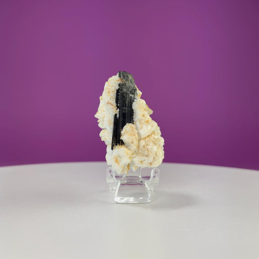 Black Tourmaline in Matrix (Skardu, Pakistan) (Includes Acrylic Stand)