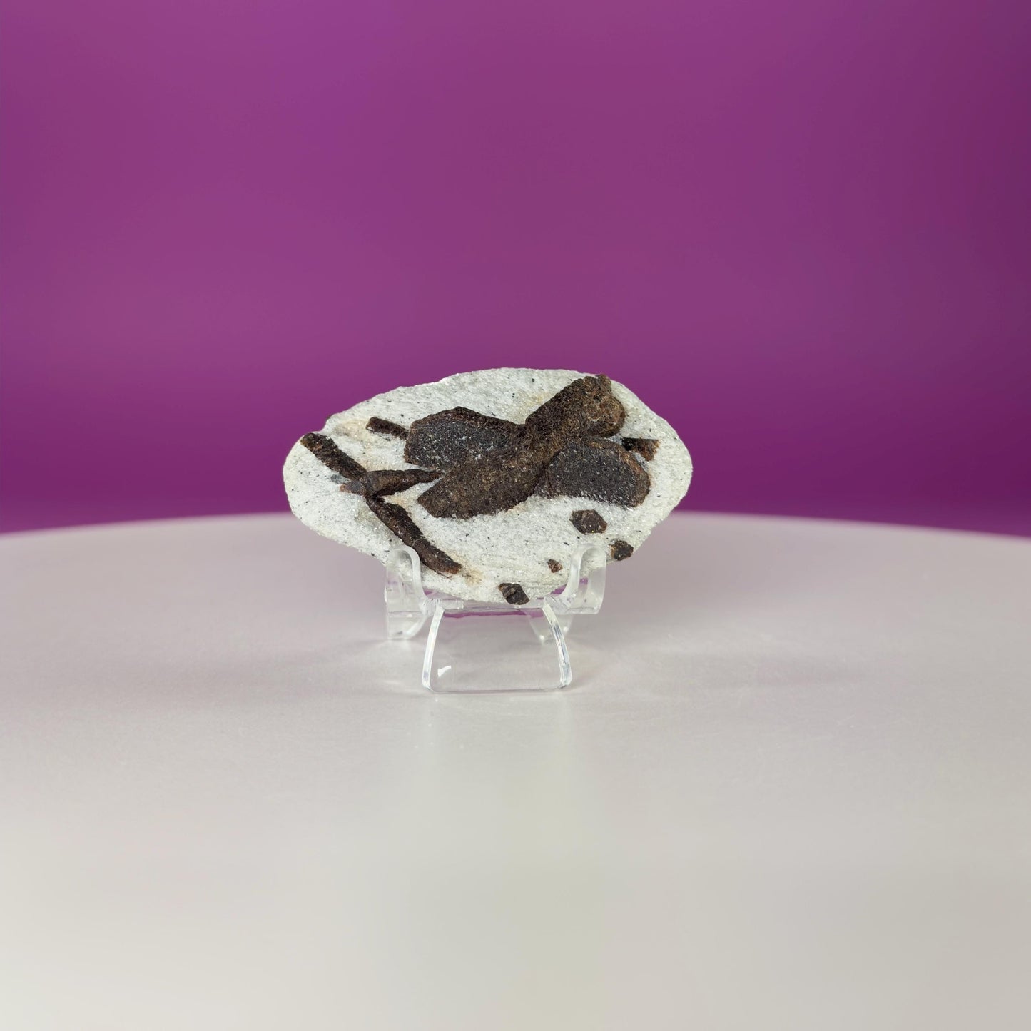 Staurolite Specimen from Russia | 38g Natural Cross Crystal with Stand