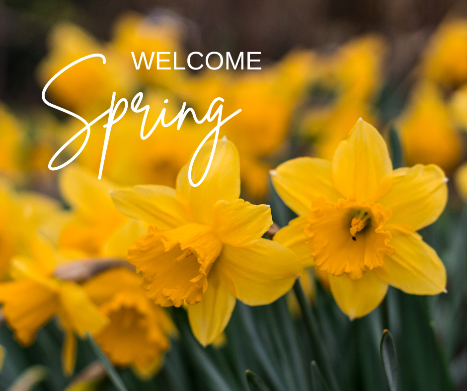 Crystals and the Spring Equinox