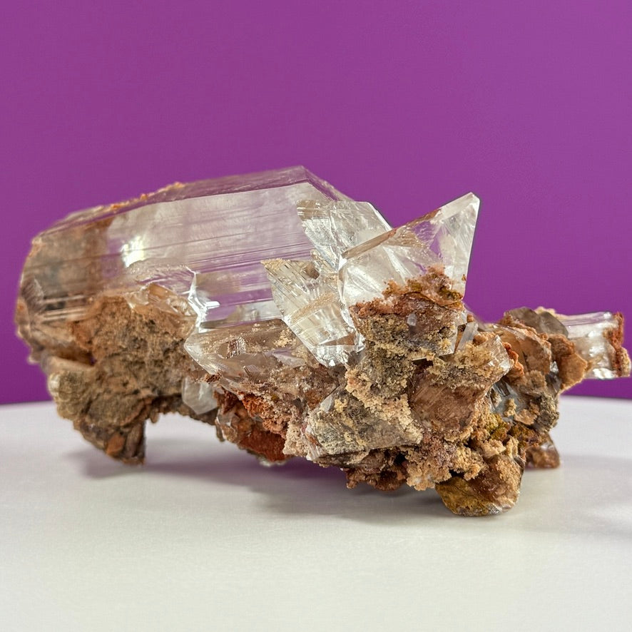 Collector Selenite on Matrix – 661g | Bermejillo Mexico Rare Crystal Specimen with Stand