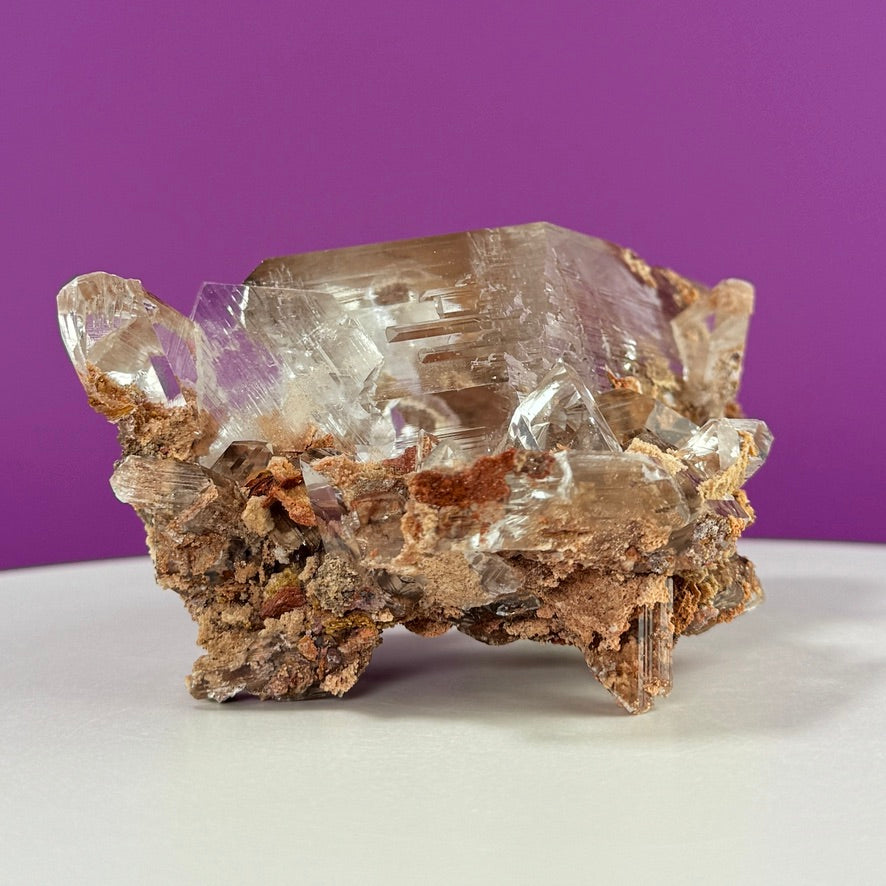 Collector Selenite on Matrix – 661g | Bermejillo Mexico Rare Crystal Specimen with Stand