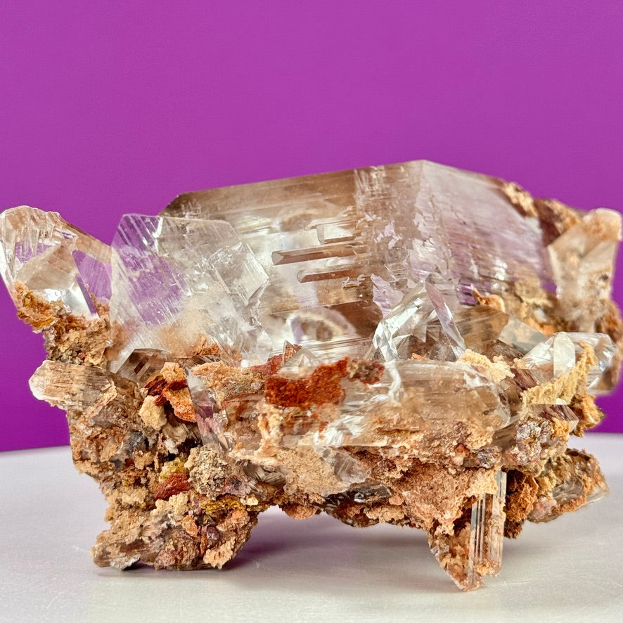 Collector Selenite on Matrix – 661g | Bermejillo Mexico Rare Crystal Specimen with Stand
