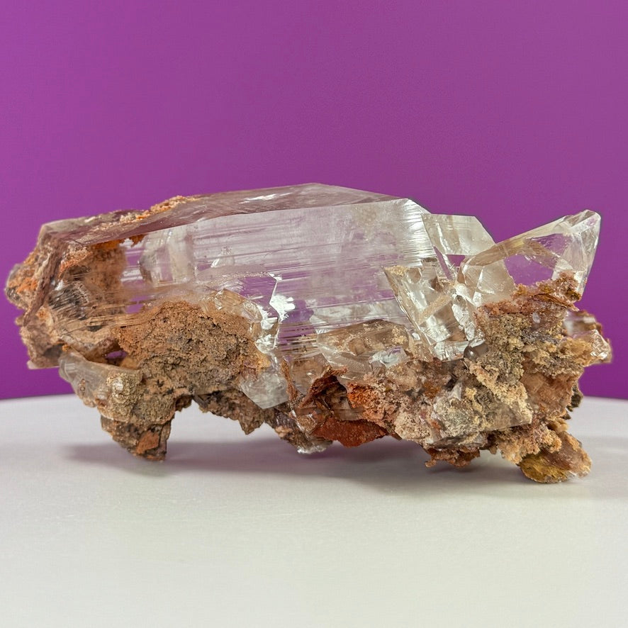 Collector Selenite on Matrix – 661g | Bermejillo Mexico Rare Crystal Specimen with Stand
