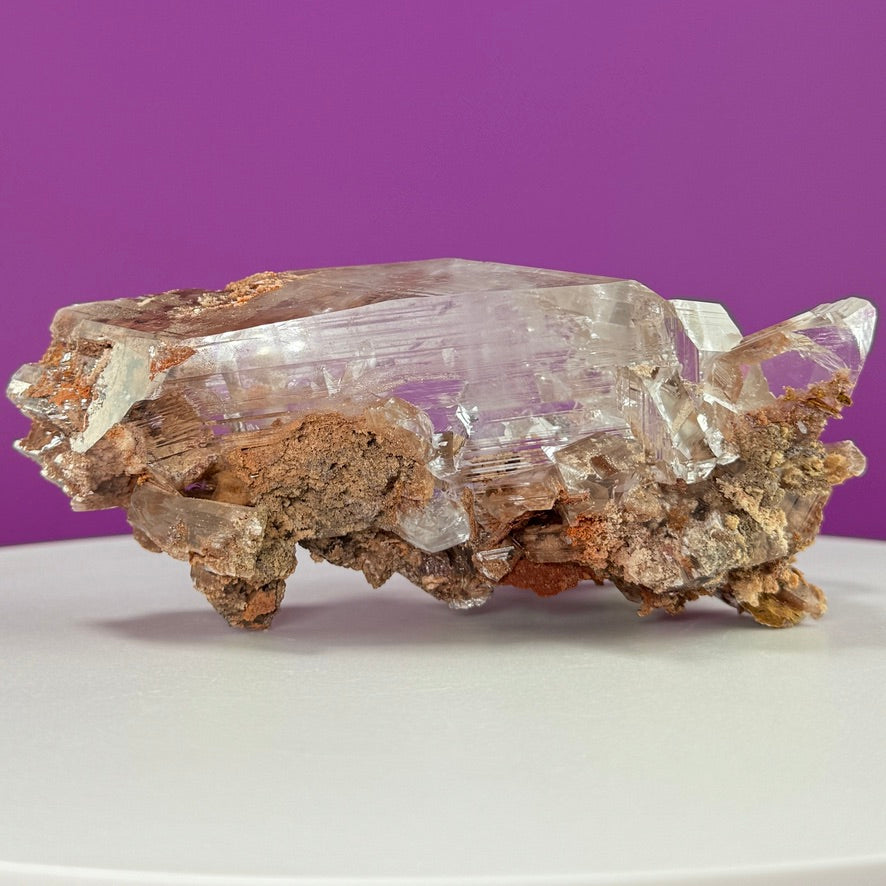 Collector Selenite on Matrix – 661g | Bermejillo Mexico Rare Crystal Specimen with Stand