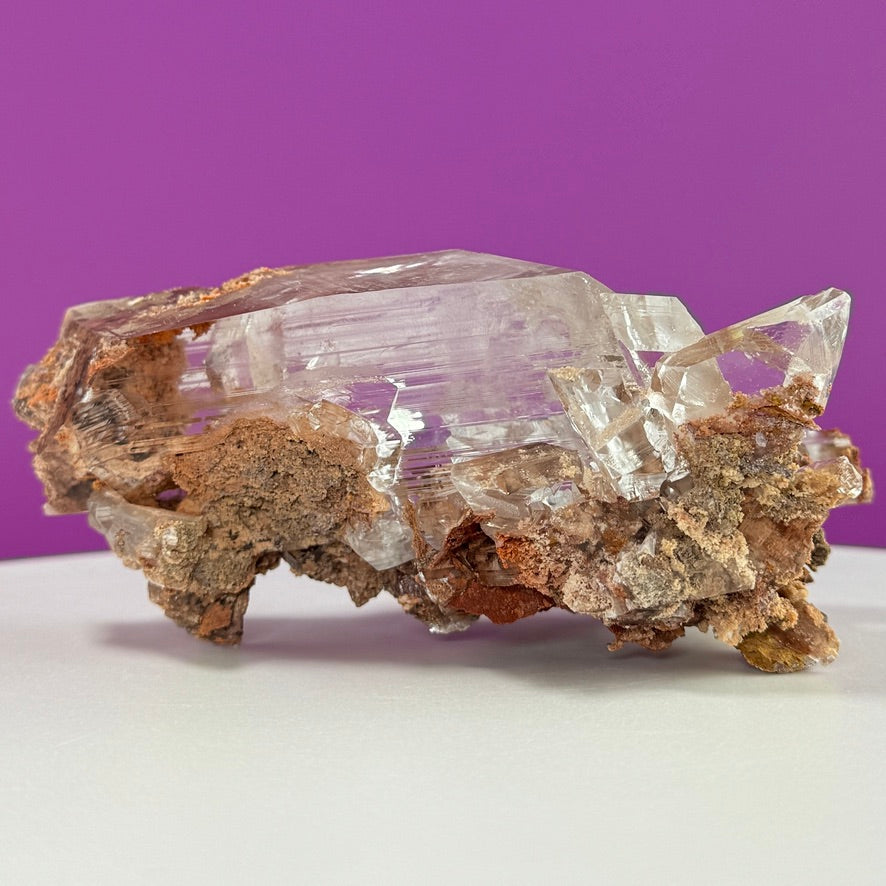 Collector Selenite on Matrix – 661g | Bermejillo Mexico Rare Crystal Specimen with Stand