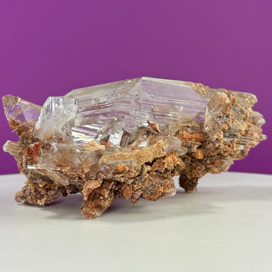 Collector Selenite on Matrix – 661g | Bermejillo Mexico Rare Crystal Specimen with Stand