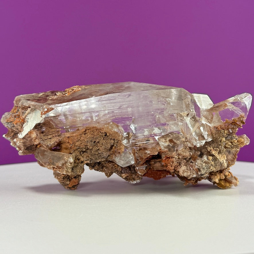 Collector Selenite on Matrix – 661g | Bermejillo Mexico Rare Crystal Specimen with Stand