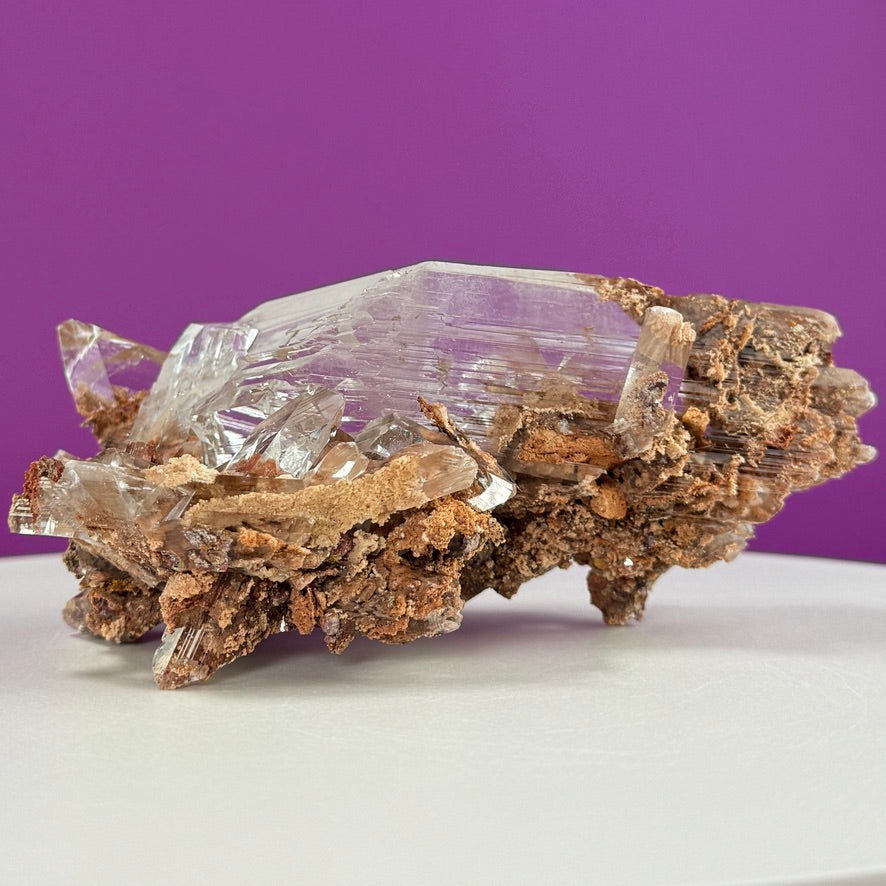 Collector Selenite on Matrix – 661g | Bermejillo Mexico Rare Crystal Specimen with Stand