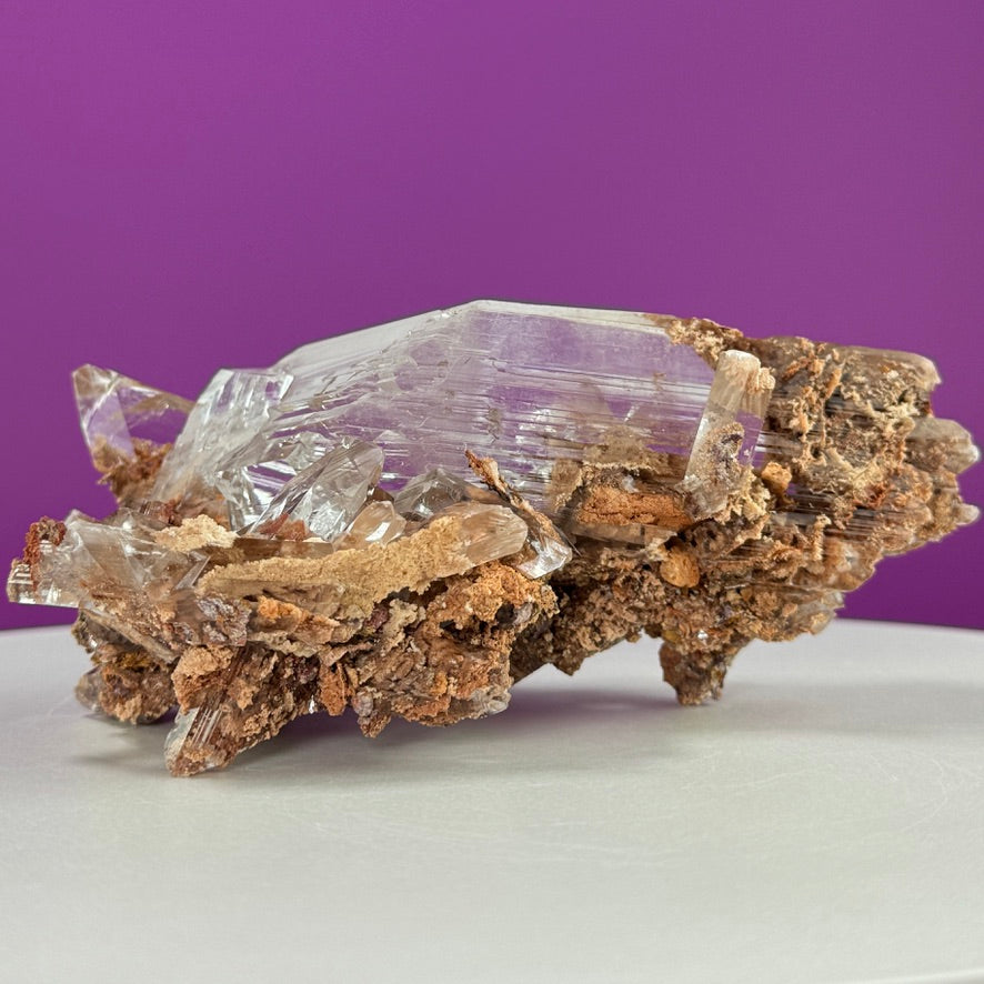 Collector Selenite on Matrix – 661g | Bermejillo Mexico Rare Crystal Specimen with Stand