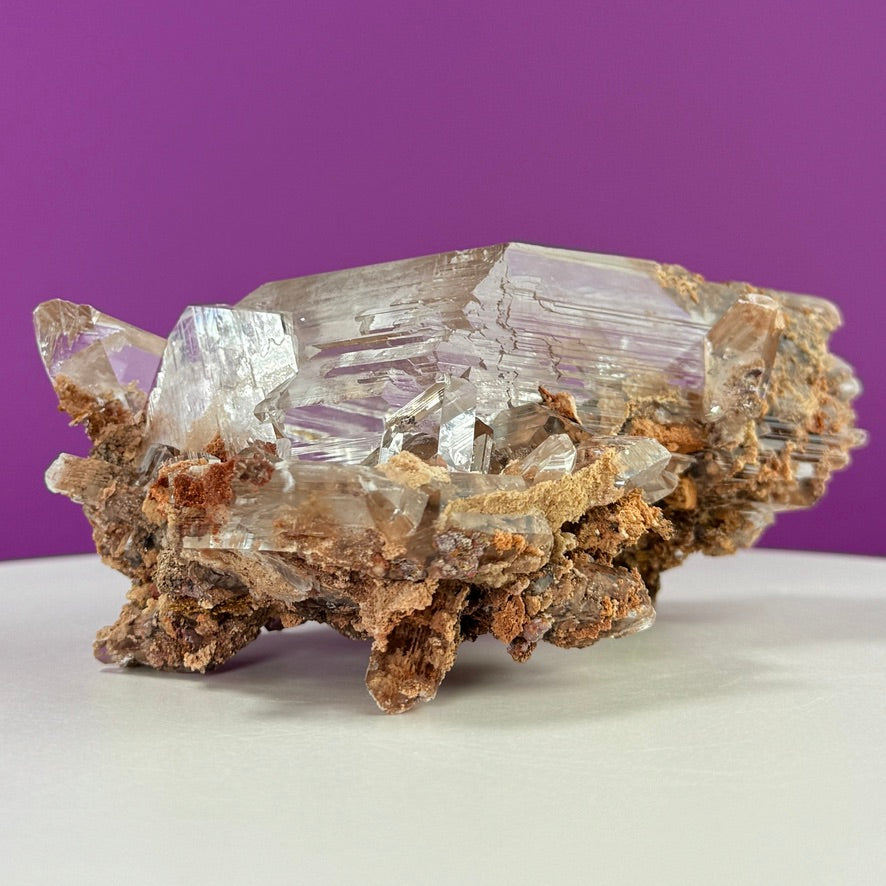 Collector Selenite on Matrix – 661g | Bermejillo Mexico Rare Crystal Specimen with Stand