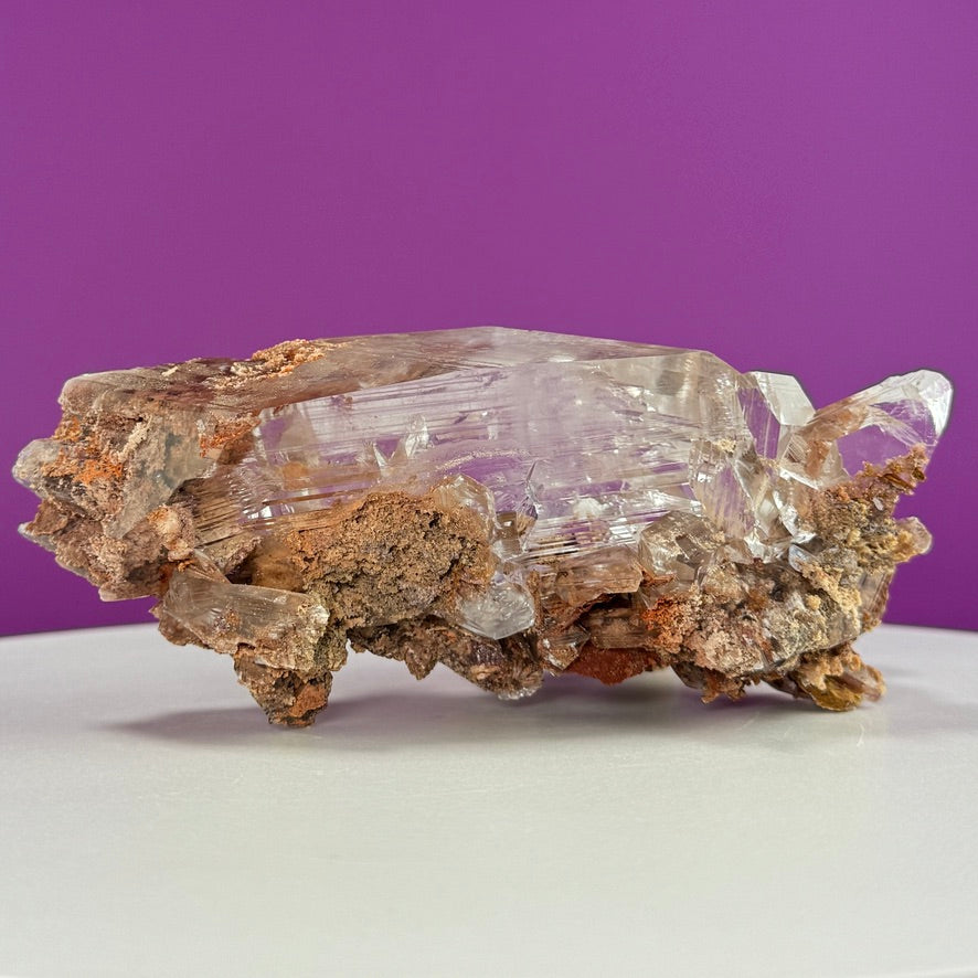 Collector Selenite on Matrix – 661g | Bermejillo Mexico Rare Crystal Specimen with Stand