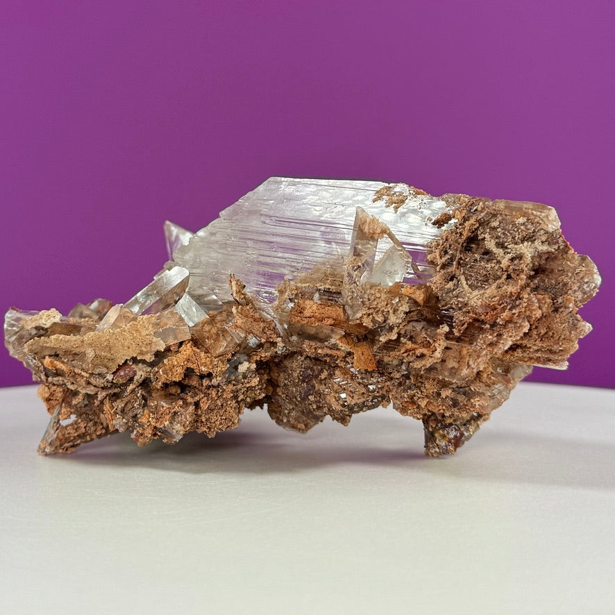 Collector Selenite on Matrix – 661g | Bermejillo Mexico Rare Crystal Specimen with Stand