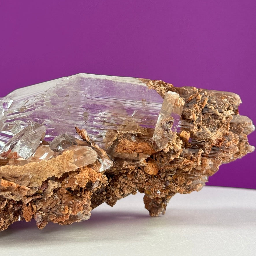 Collector Selenite on Matrix – 661g | Bermejillo Mexico Rare Crystal Specimen with Stand