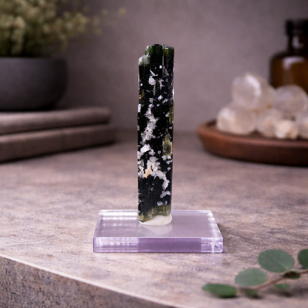 Stak Nala Tourmaline in Matrix Specimen – Pakistan Collector Crystal with Display Base