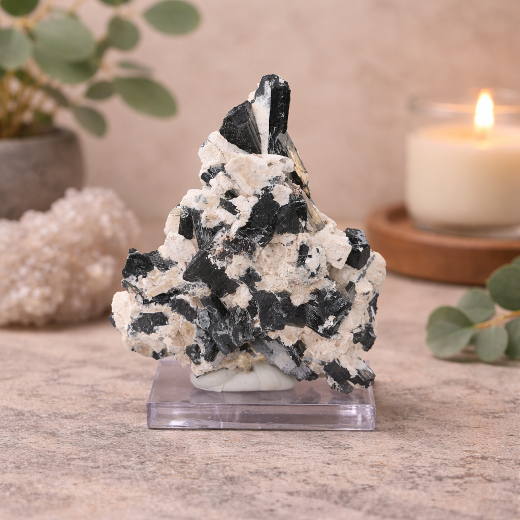 Dravite Tourmaline Crystal Specimen in Matrix – Collector Mineral Display