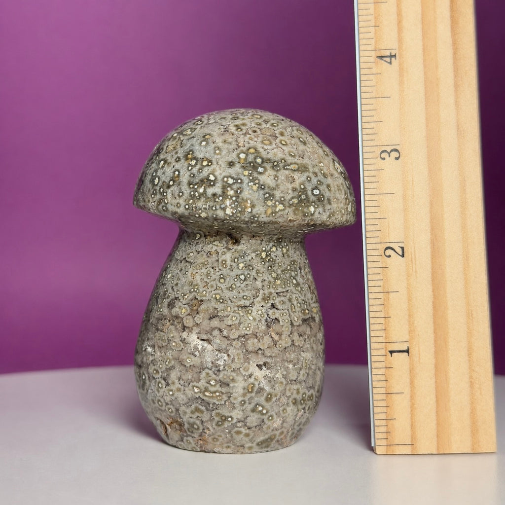 7th Vein Ocean Jasper Mushroom Carving | Madagascar