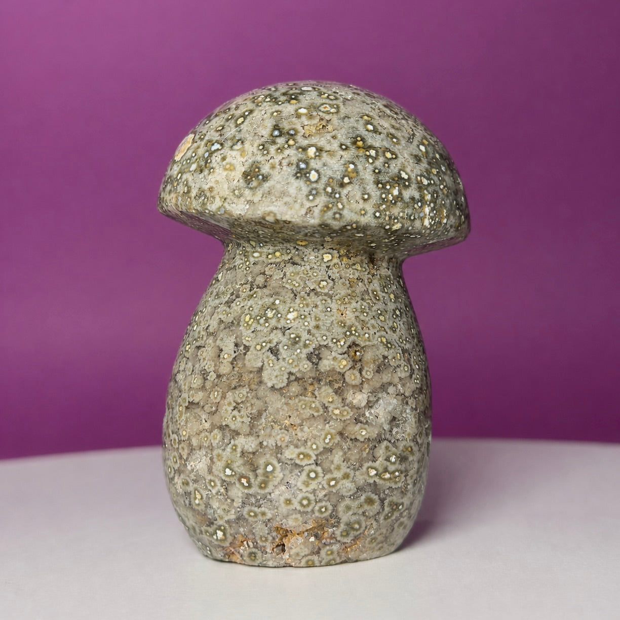 7th Vein Ocean Jasper Mushroom Carving | Madagascar
