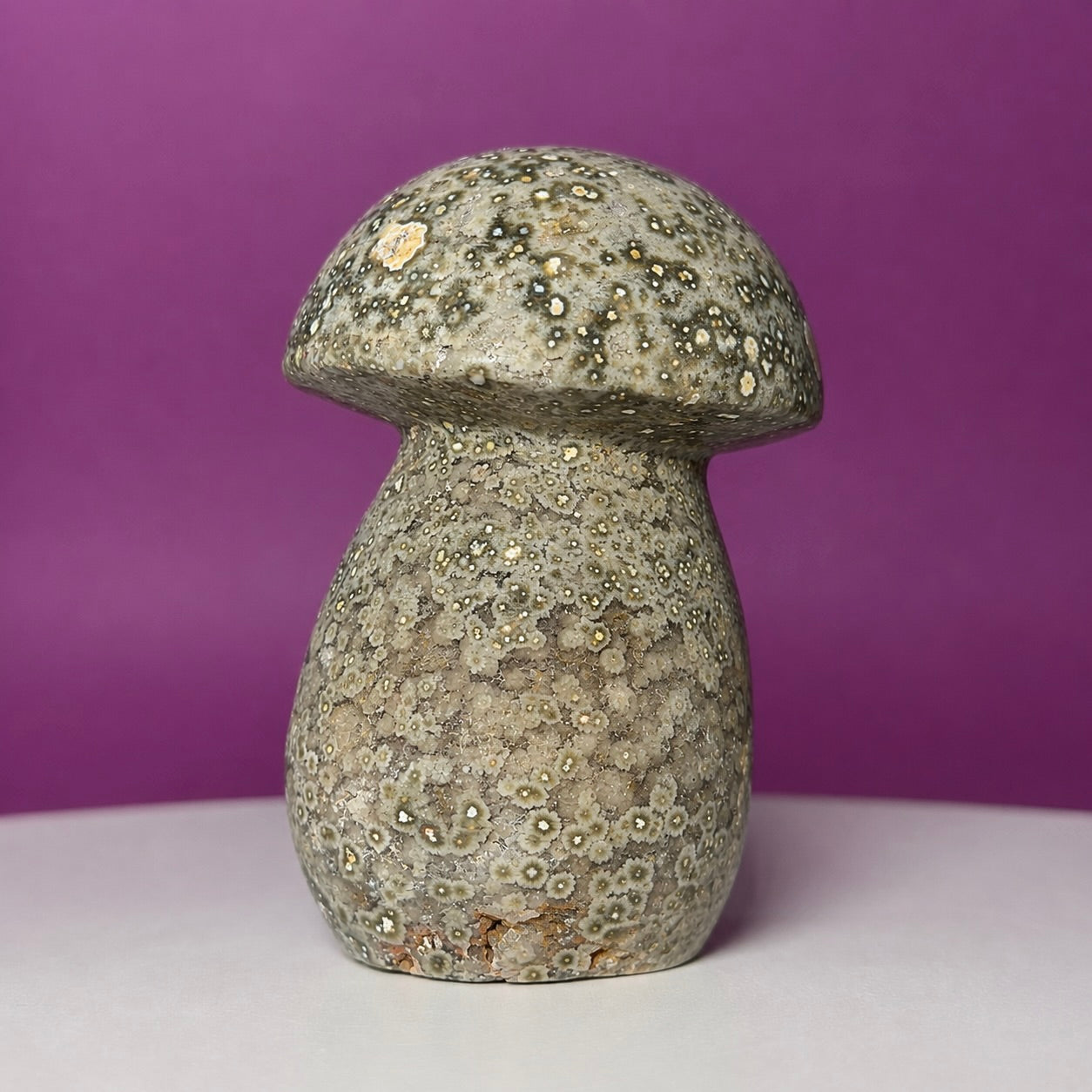 7th Vein Ocean Jasper Mushroom Carving | Madagascar