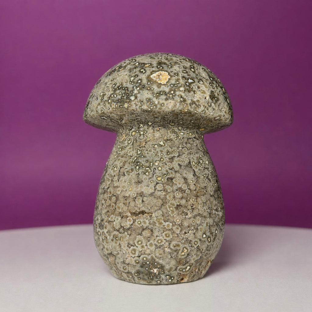 7th Vein Ocean Jasper Mushroom Carving | Madagascar