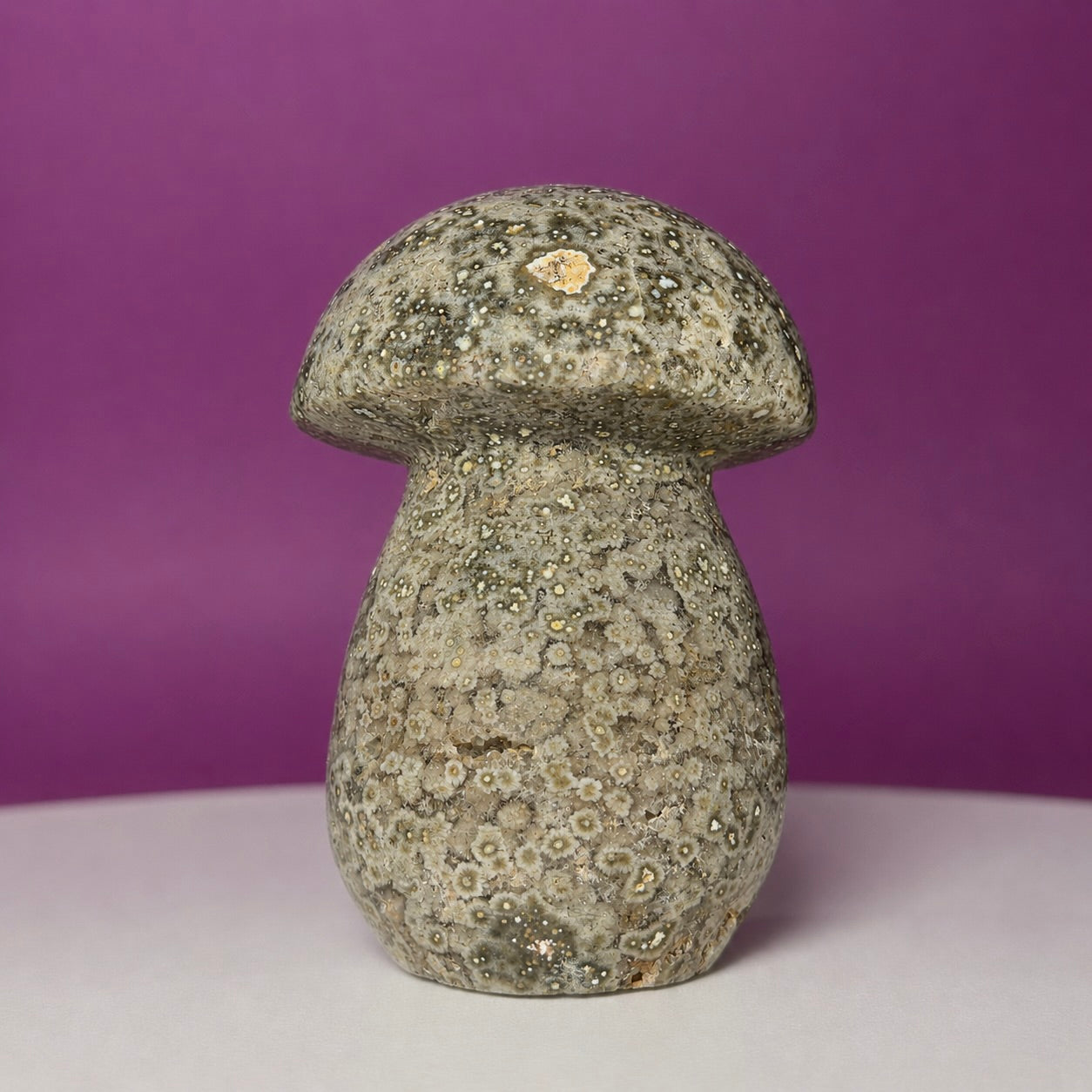 7th Vein Ocean Jasper Mushroom Carving | Madagascar