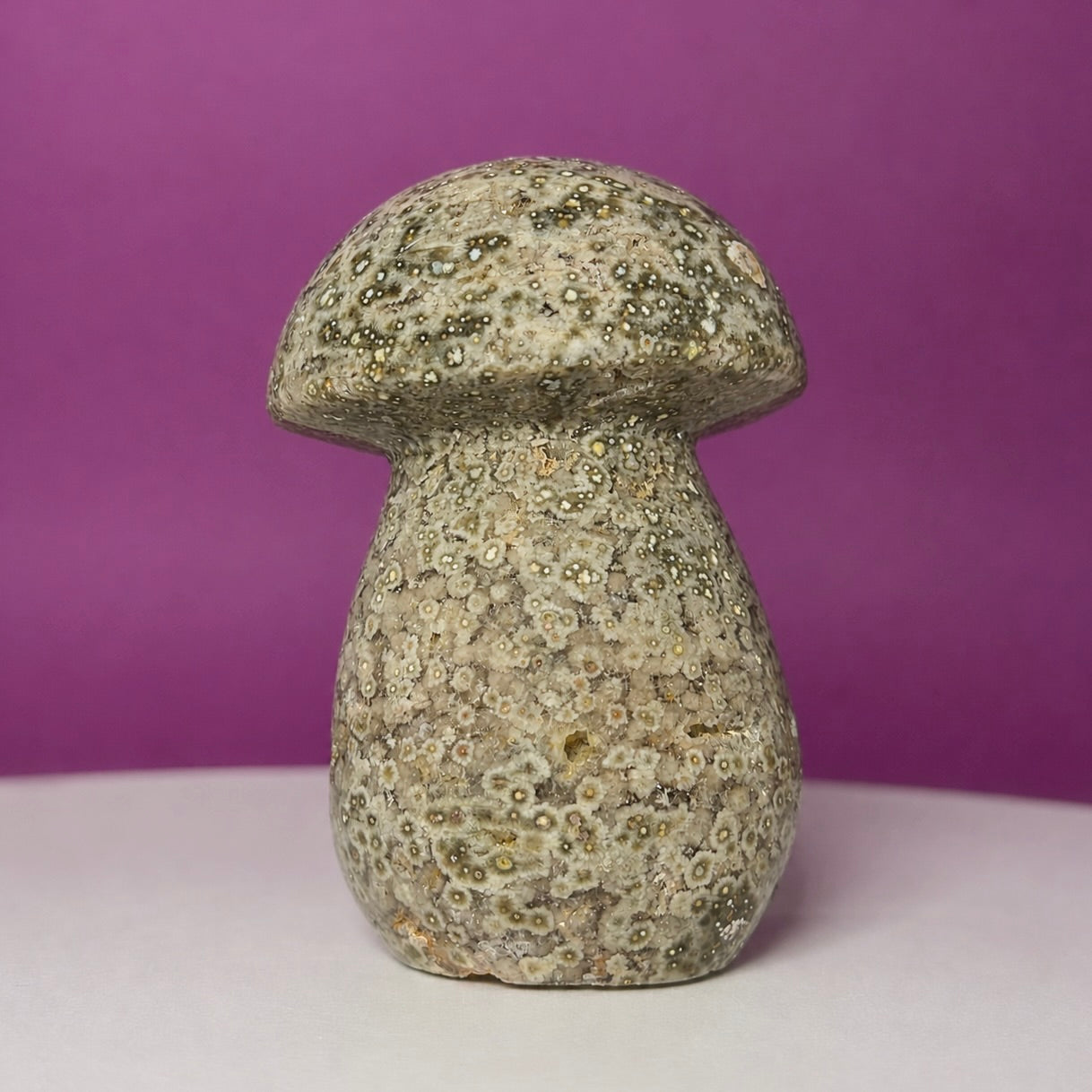 7th Vein Ocean Jasper Mushroom Carving | Madagascar
