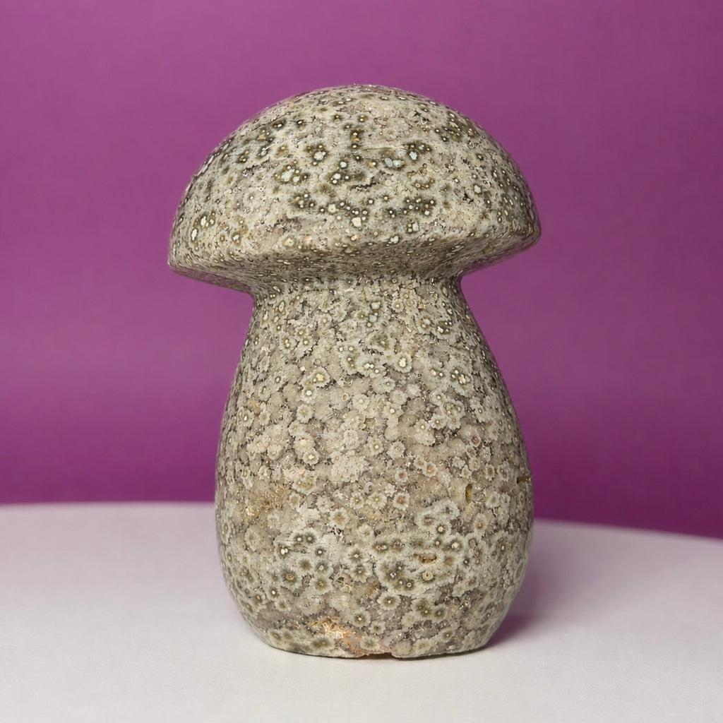 7th Vein Ocean Jasper Mushroom Carving | Madagascar