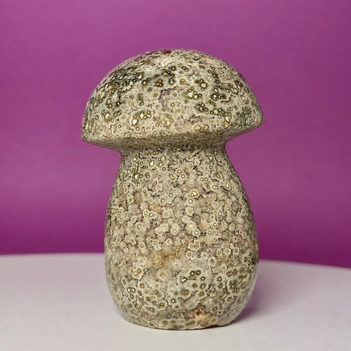 7th Vein Ocean Jasper Mushroom Carving | Madagascar