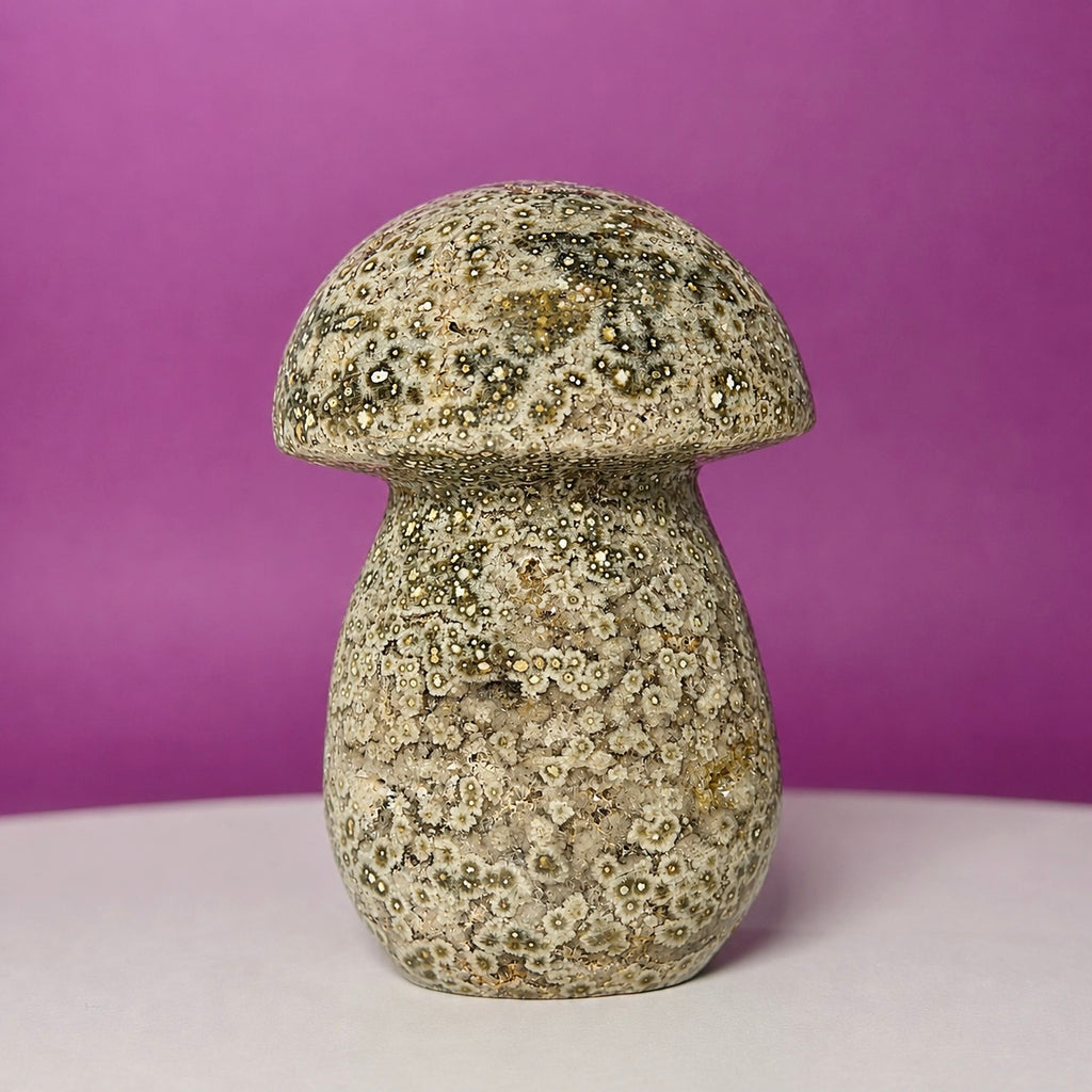 7th Vein Ocean Jasper Mushroom Carving | Madagascar