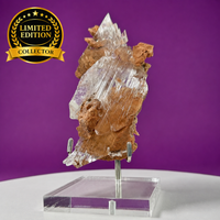Selenite on Matrix (Bermejillo, Durango, Mexico) | Collector Specimen with Stand