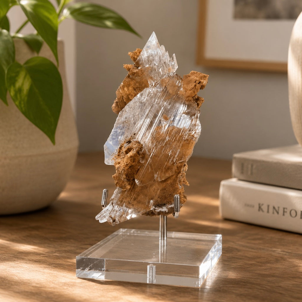 Selenite on Matrix (Bermejillo, Durango, Mexico) | Collector Specimen with Stand