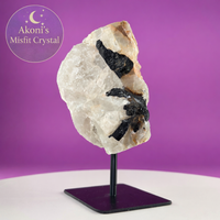 Black Tourmaline in Quartz Matrix on Stand, 1127g Akoni's Misfit Crystal