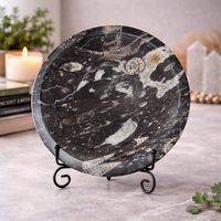 Orthoceras Fossil Bowl | Ancient Marine Fossil Stone Display Dish