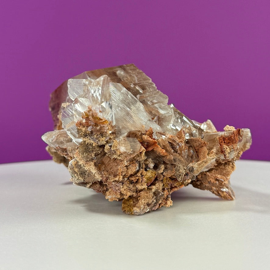 Collector Selenite on Matrix – 661g | Bermejillo Mexico Rare Crystal Specimen with Stand