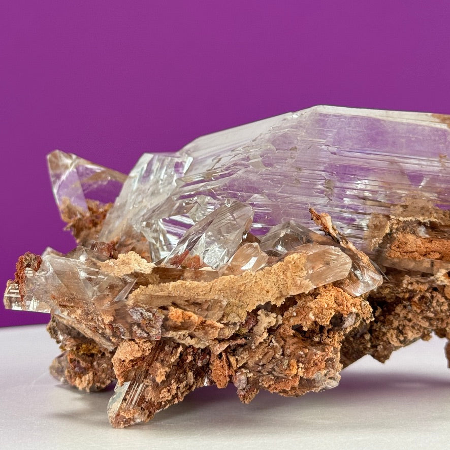Collector Selenite on Matrix – 661g | Bermejillo Mexico Rare Crystal Specimen with Stand