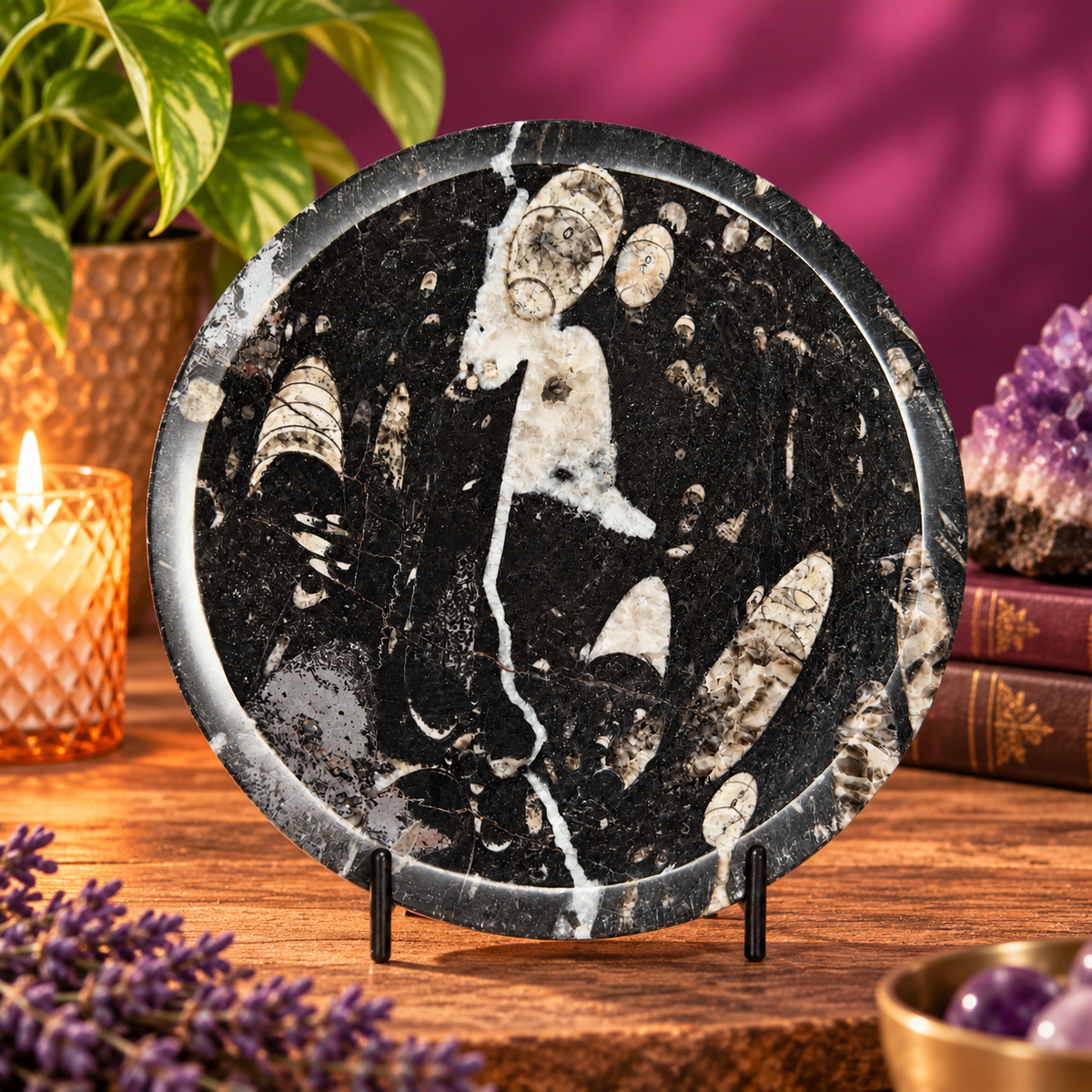Orthoceras Fossil Bowl Black Limestone Decorative Dish with Stand 748g