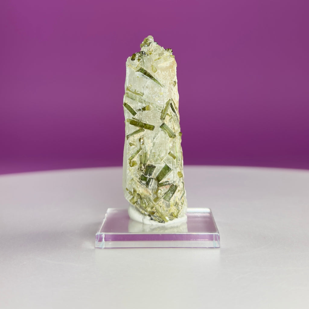 Green Tourmaline in Quartz | Tulga Mine Pakistan | Collector Mineral Specimen