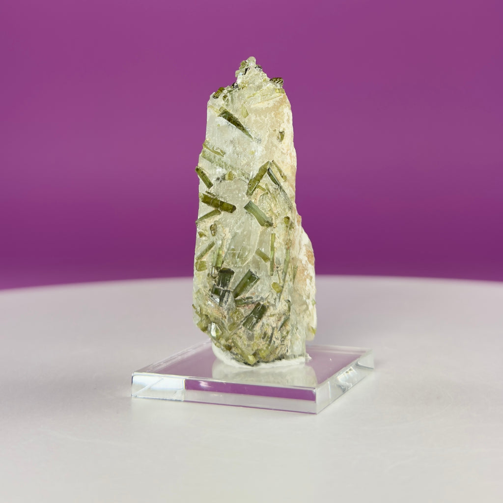 Green Tourmaline in Quartz | Tulga Mine Pakistan | Collector Mineral Specimen