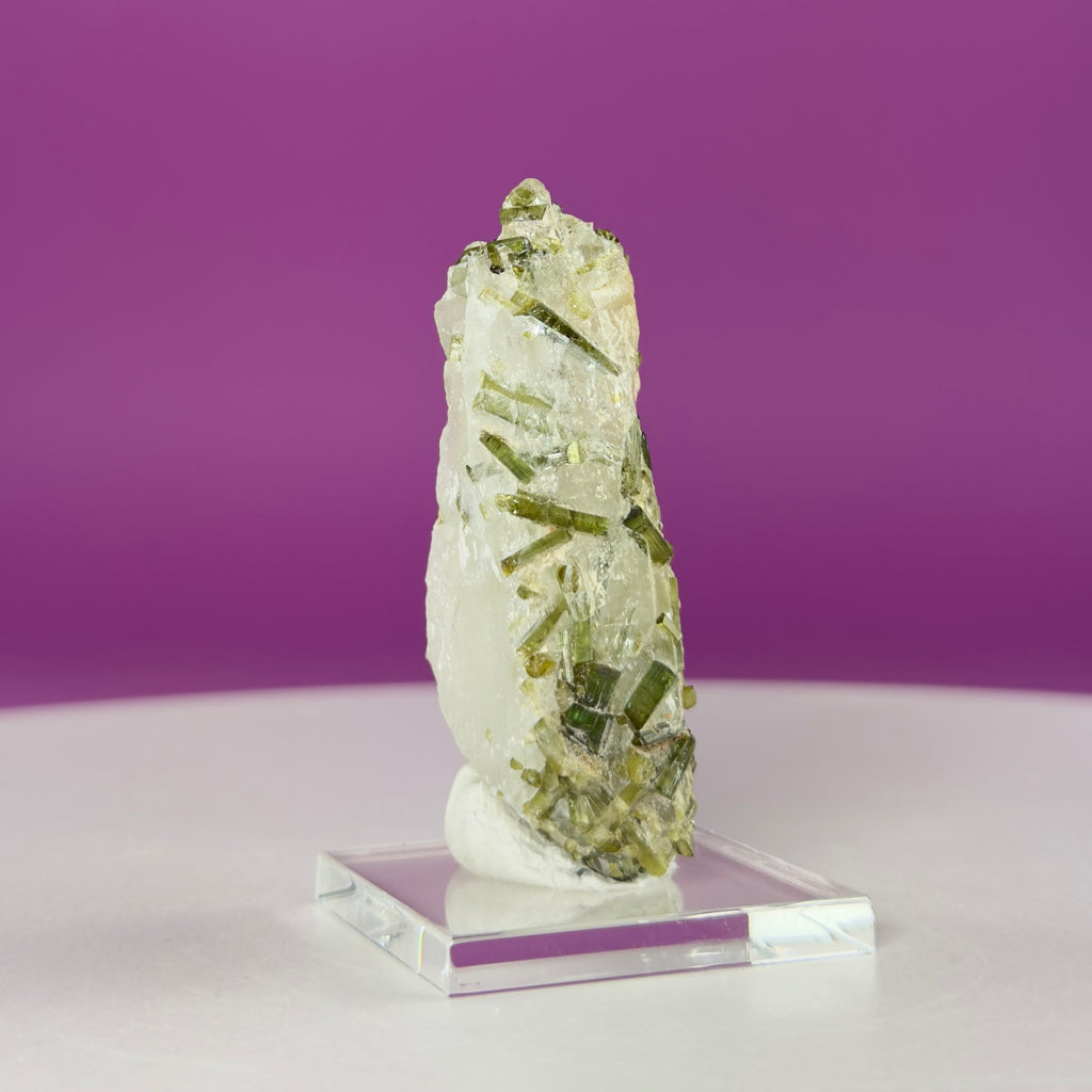 Green Tourmaline in Quartz | Tulga Mine Pakistan | Collector Mineral Specimen