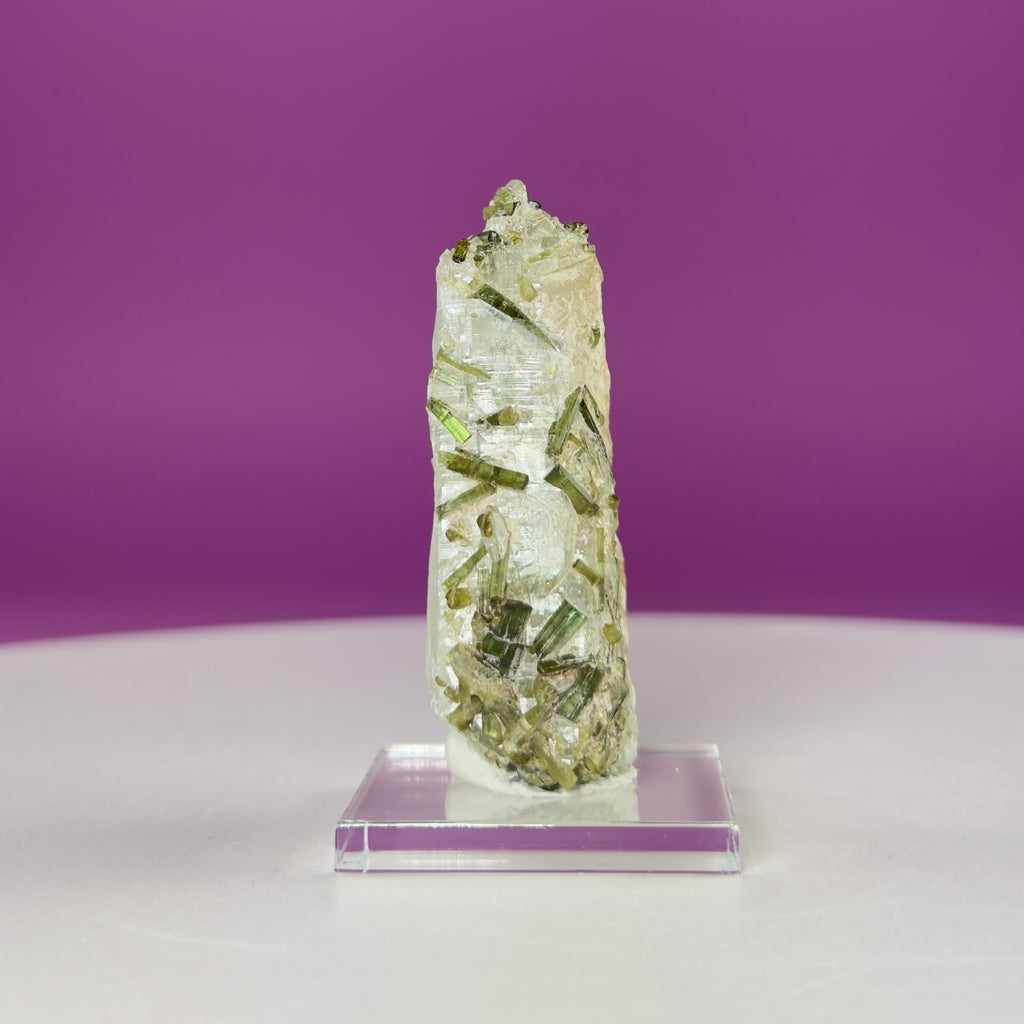Green Tourmaline in Quartz | Tulga Mine Pakistan | Collector Mineral Specimen