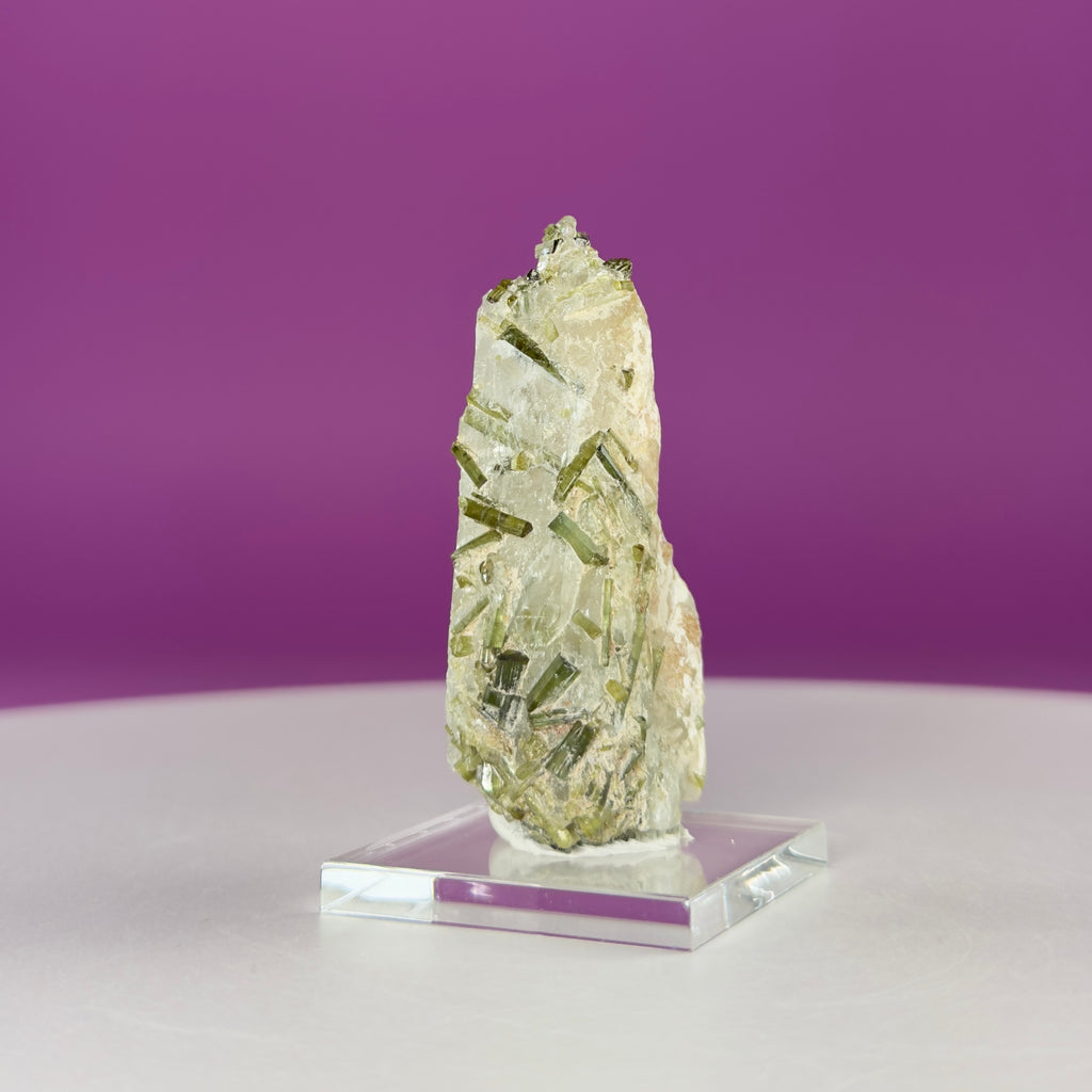 Green Tourmaline in Quartz | Tulga Mine Pakistan | Collector Mineral Specimen