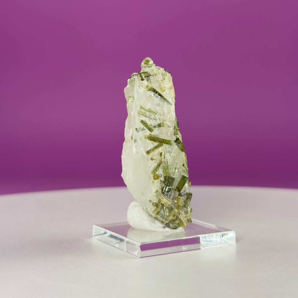 Green Tourmaline in Quartz | Tulga Mine Pakistan | Collector Mineral Specimen