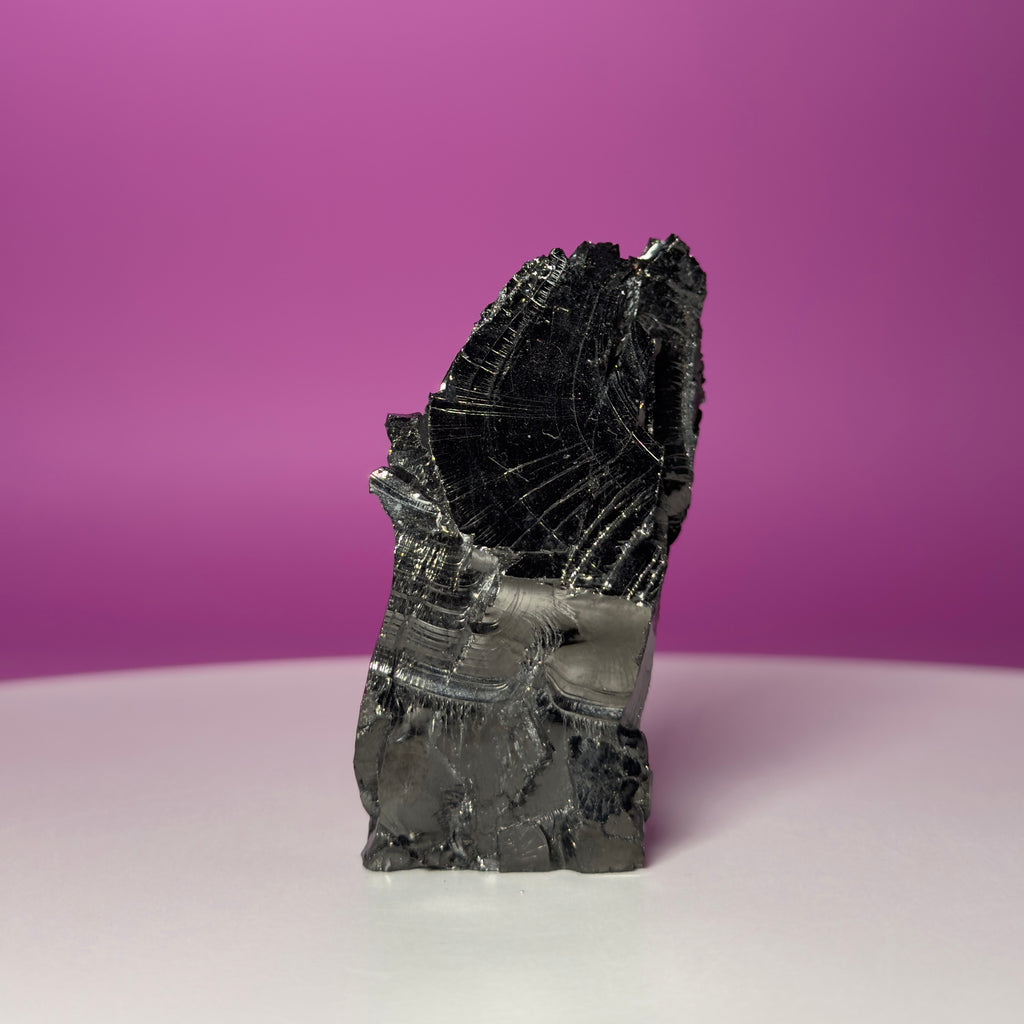 Colombian Elite Shungite Mineral Specimen – 50g