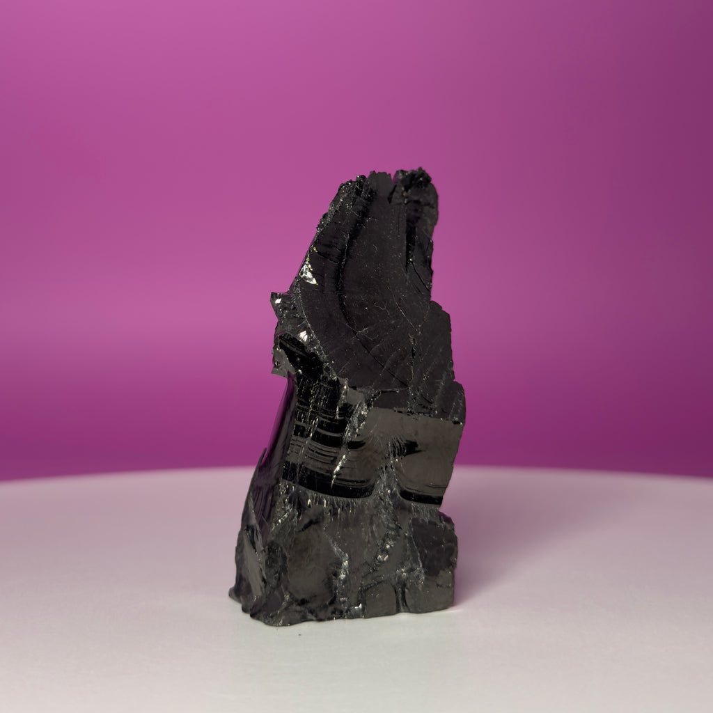 Colombian Elite Shungite Mineral Specimen – 50g