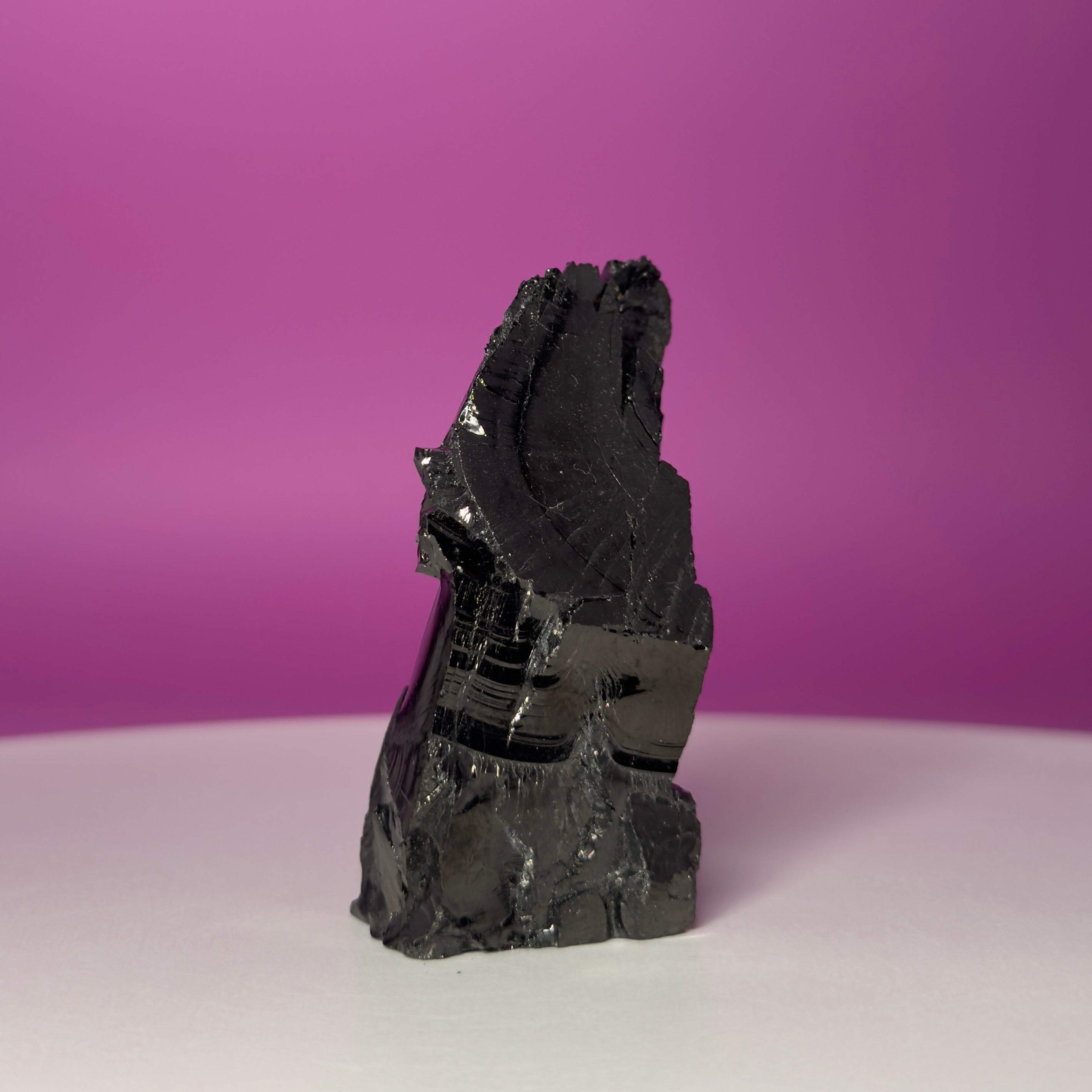 Colombian Elite Shungite Mineral Specimen – 50g